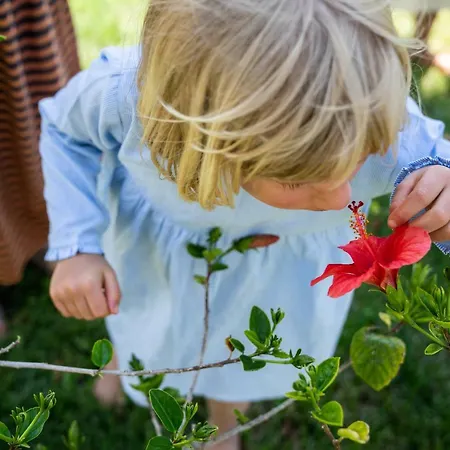 Resort Baia Del Sole Capo Vaticano